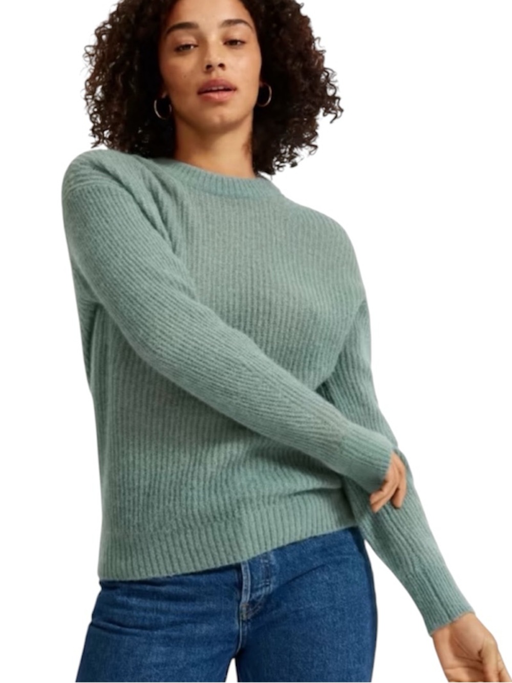 Everlane The Alpaca Crew Sweater